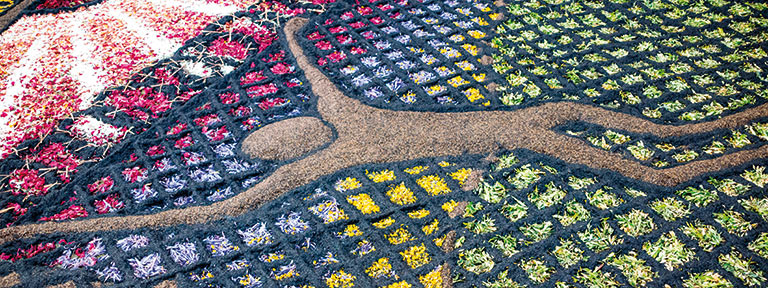 Flowers in La Orotava for the Corpus Christi Festival